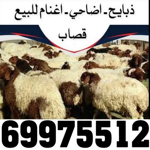 المنيوم الكويت – فني المنيوم - باكستاني اشرف📞66448398 - المنيوم - شتر - تركيب مطابخ - فني شتر - تركيب شتر - تصليح شتر - تصليح مطبخ - معلم المنيوم - فني المنيوم الكويت 8 2 المنيوم الكويت – فني المنيوم - باكستاني اشرف📞66448398 - المنيوم - شتر - تركيب مطابخ - فني شتر - تركيب شتر - تصليح شتر - تصليح مطبخ - معلم المنيوم - فني المنيوم الكويت