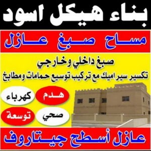 بناء هيكل اسود