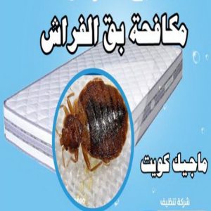 مكافحة حشرات الجهراء - مكافحة حشرات وقوارض الجهراء - دليل وطنية📞99663955 - شركة حشرات - شركة مكافحة حشرات - مكافحة بق - مكافحة قوارض - مكافحة حشرات الكويت 14 مكافحة بق مكافحة حشرات الجهراء - مكافحة حشرات وقوارض الجهراء - دليل وطنية📞99663955 - شركة حشرات - شركة مكافحة حشرات - مكافحة بق - مكافحة قوارض - مكافحة حشرات الكويت