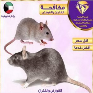 مكافحة حشرات الجهراء - دليل وطنية📞99663955 - شركة مكافحة حشرات - مكافحة حشرات وقوارض - مكافحة بق - رش صراصير - مكافحة نمل - شركة حشرات - مكافحة فئران 3 مكافحة حشرات