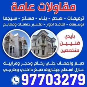 مقاولات عامة