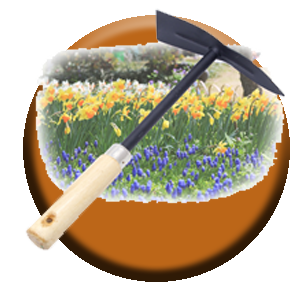 تنسيق حدائق - الاتصال 66296959