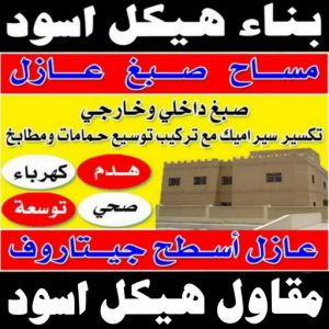 بناء هيكل اسود