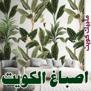 اصباغ - اصباغ الكويت - ابوسلمان📞65700179 - صباغ - صباغ في الكويت - رقم صباغ - صباغ جدران - صباغ خارجي - صباغ داخلي - معلم صباغ - اصباغ جوتن 4 اصباغ الكويت