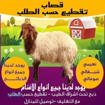 قصاب متنقل - قصاب الكويت - ابوياسين 66781612 - قصاب رخيص - قصاب الجهراء - قصاب الفروانية - قصاب حولي - قصاب الأحمدي - قصاب مبارك الكبير - قصاب